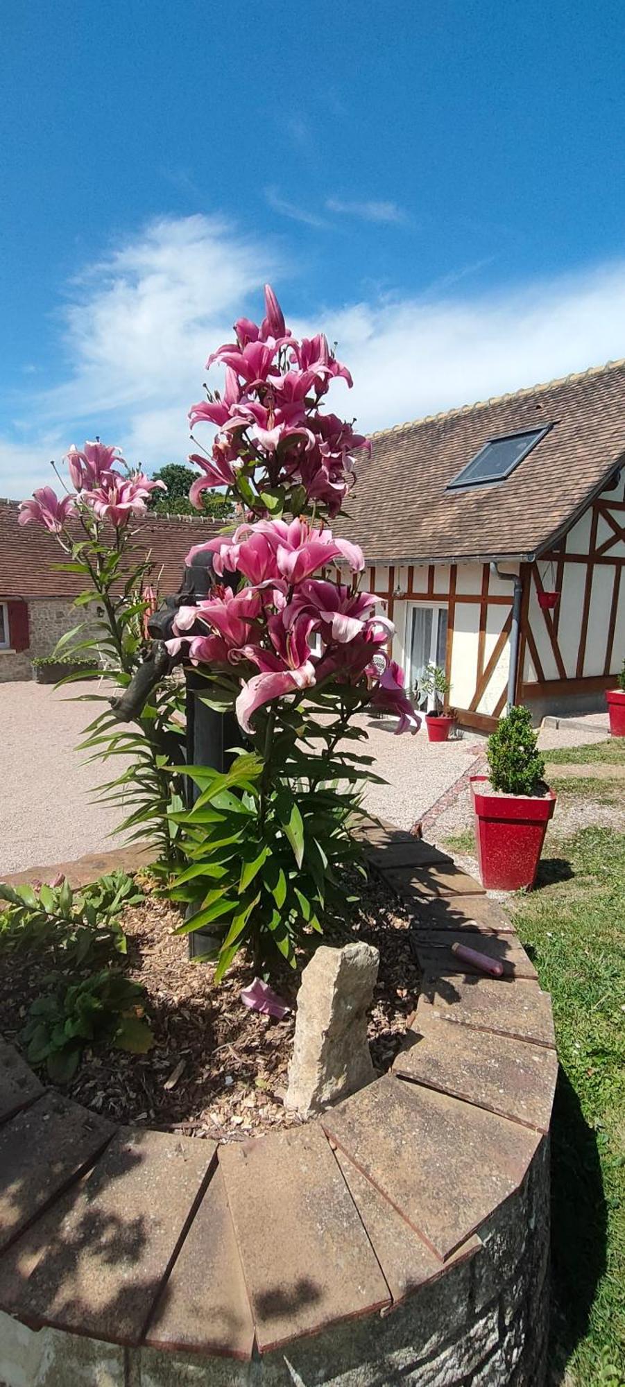 Les Lys Jolie Suite Parentale Privative Deux Adultes Avec Sdd Pertheville-Ners エクステリア 写真